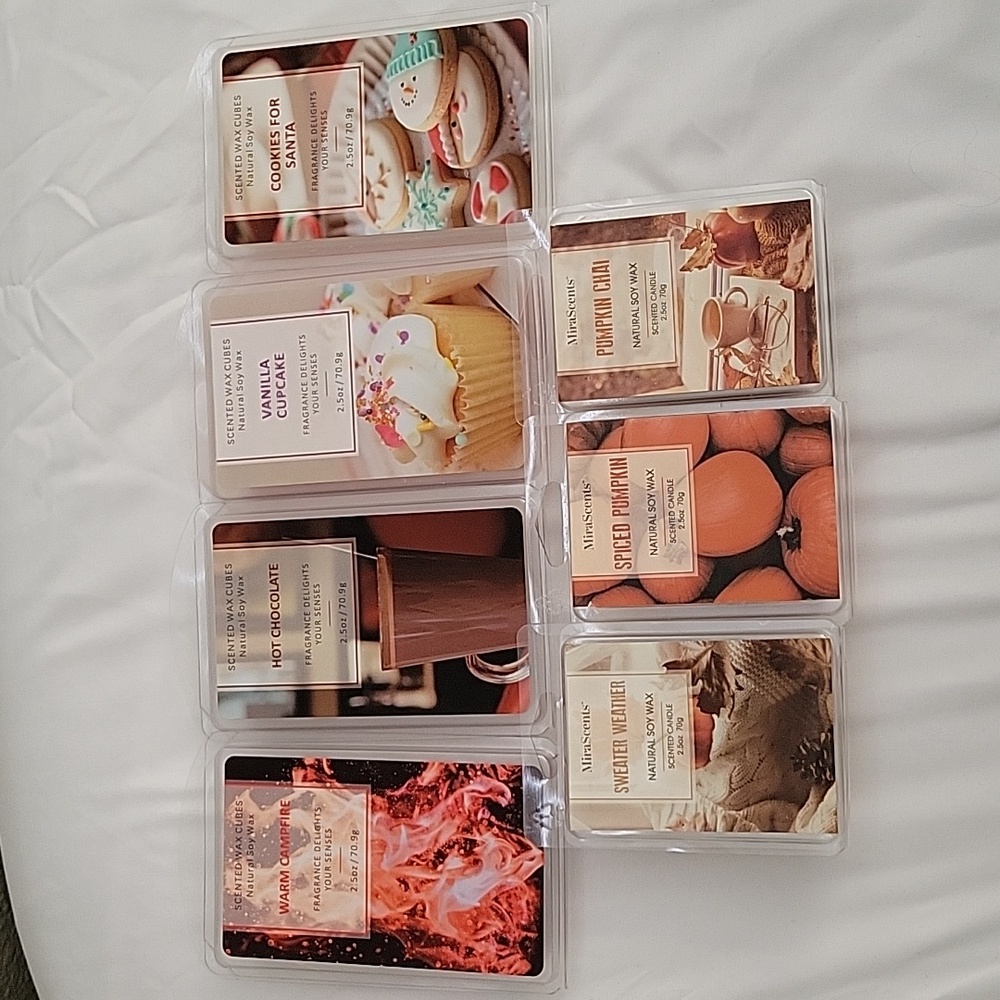 Fall/Winter wax melts